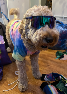 Louis Manwaring-Smith